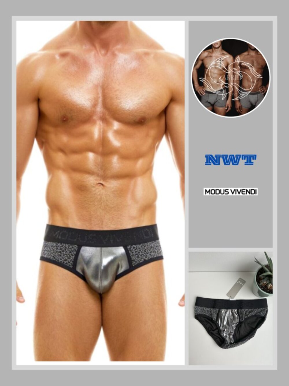Modus Vivendi - King Cheetah Brief in Silver (L)